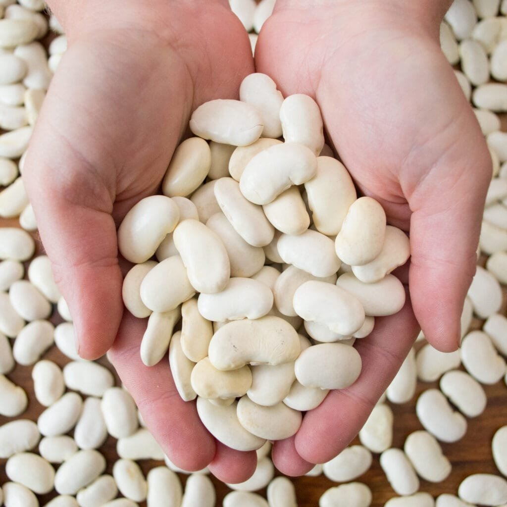 Natural Weigh - Wales' first zero waste shop 17 Beans pulses