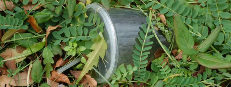 Non biodegradable scaled