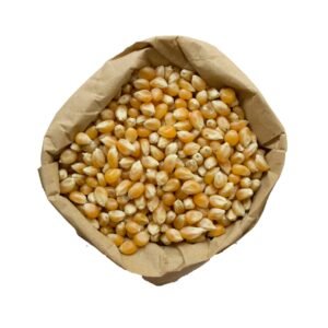 Organic popping corn