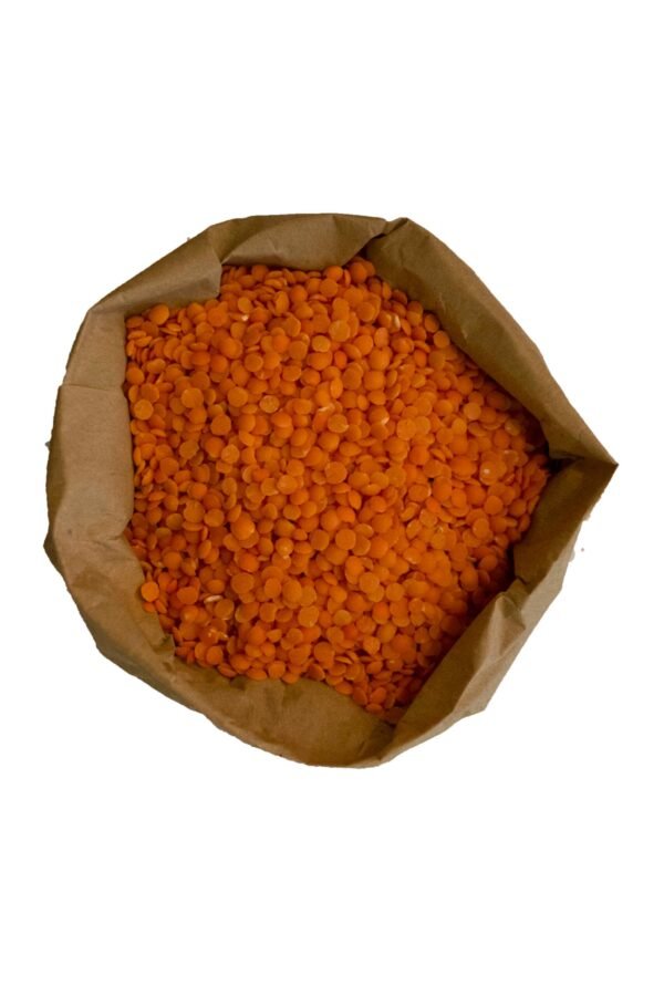 Organic red lentils