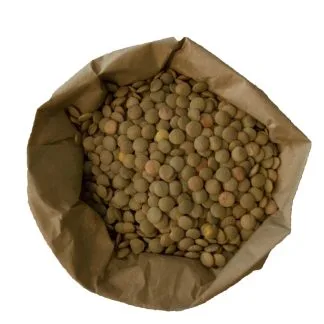 Organic green lentils