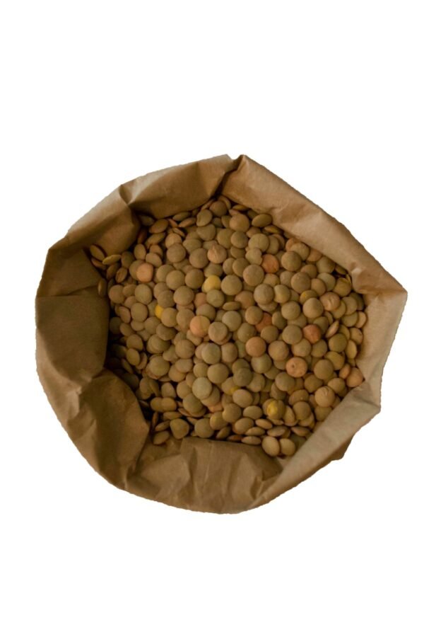 Organic green lentils