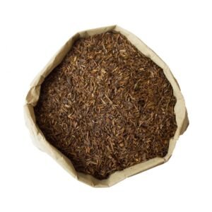 Rooibos