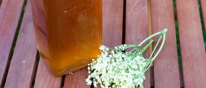 Elderflower cordial