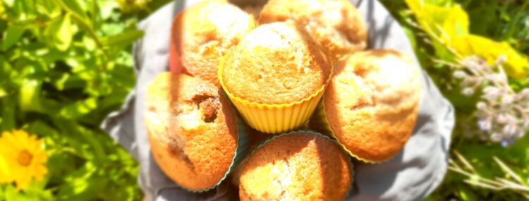 lemon and cranberry muffins