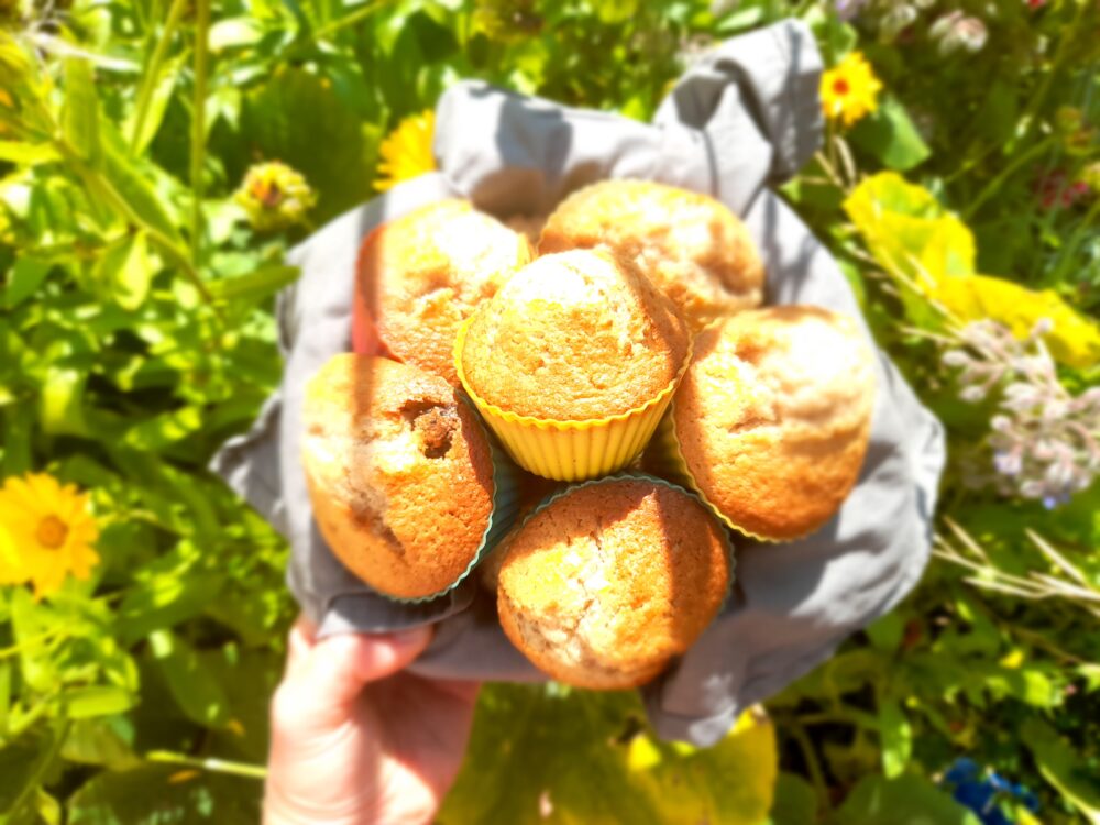 lemon and cranberry muffins