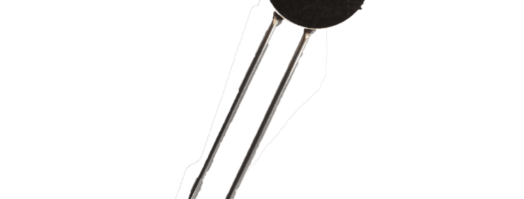 Organic nigella seeds