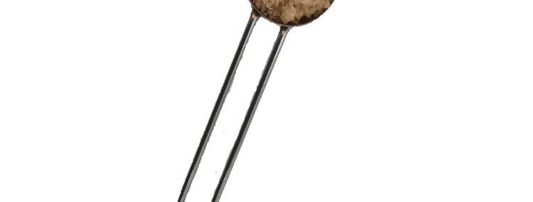 Roasted garlic sea salt