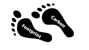How To Cut Your Carbon Footprint