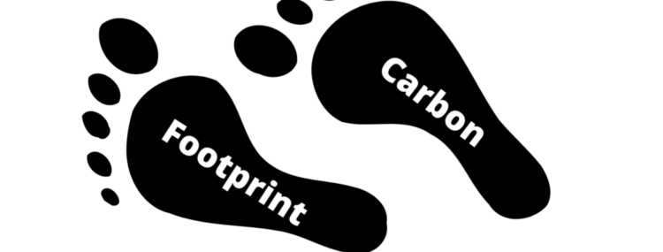 How To Cut Your Carbon Footprint