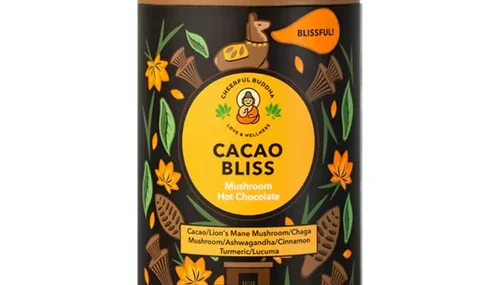 Lion’s mane hot chocolate – tub