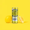 Karma Lemony Lemonade back of can