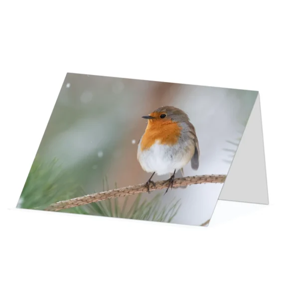 Garden Robin greetings card