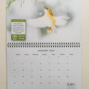 Natural Weigh Calendar - January page