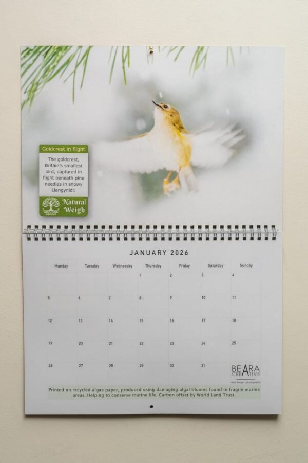 Natural Weigh Calendar - January page