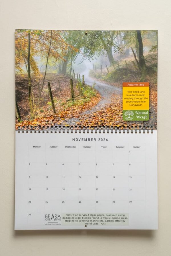 Natural Weigh Calendar - November page