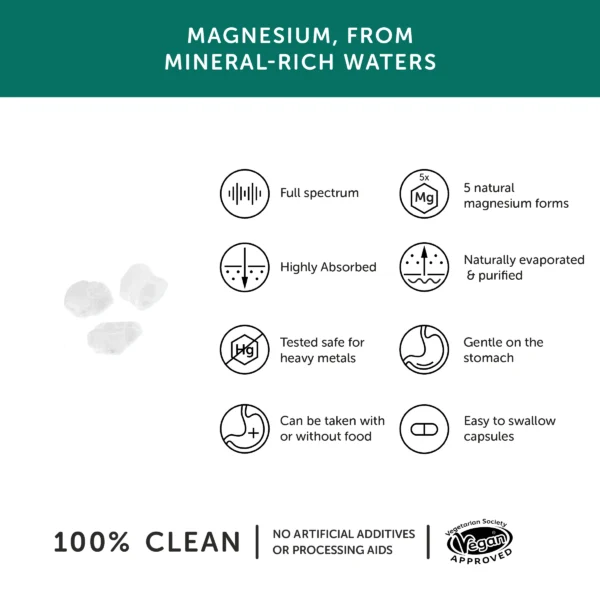 Together Health Magnesium product benefits