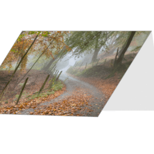 Autumn Lane Greetings Card - Beara Creative