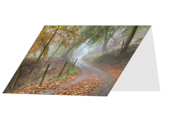 Autumn Lane Greetings Card - Beara Creative