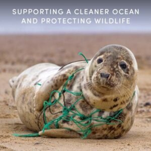 Seal caught in fishing net