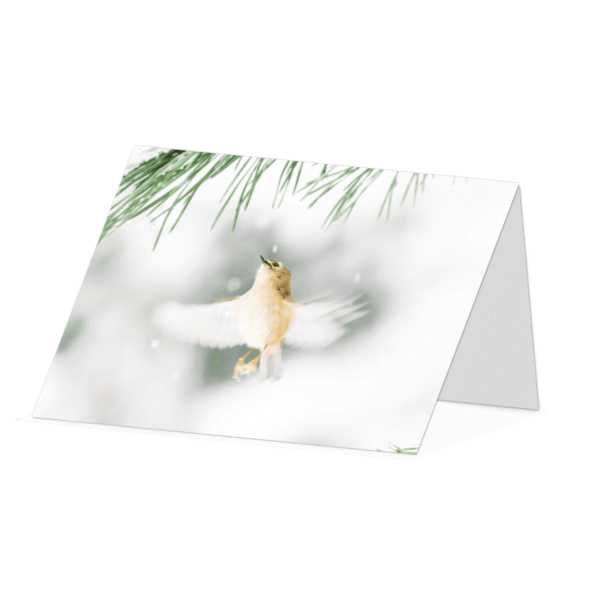 Winter Goldcrest in flight greetings card - Beara Creative