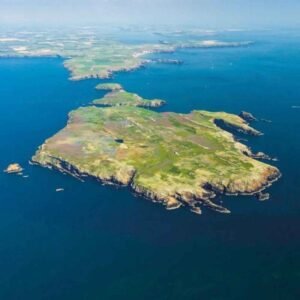 Skomer Island Whale Bracelet - Black - Image 12