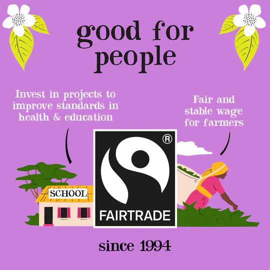 Clipper Tea Decaf Tea Bags - 40