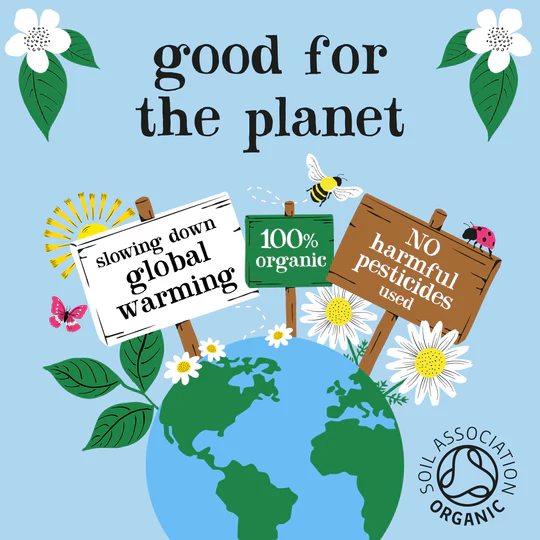 Clipper Tea Decaf Tea Bags - 40