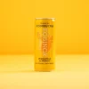 Pineapple & Mango Kombucha can