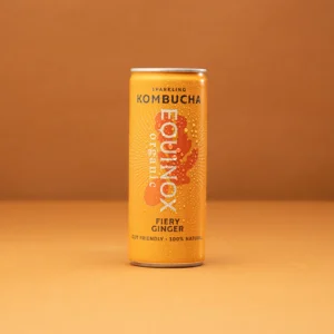 Fiery Ginger Kombucha 25cl can