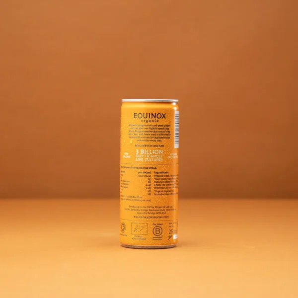 Fiery Ginger Kombucha reverse