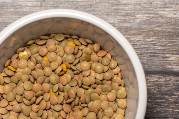 Organic Green Lentils