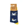 Gannet Socks in Packaging