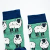 Sheep socks close up of tops