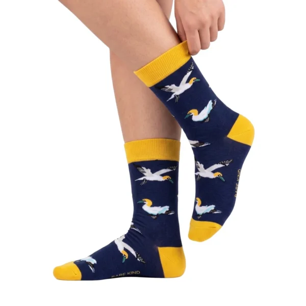 Gannet socks being worn