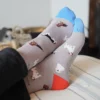 Grey dog socks lifestyle