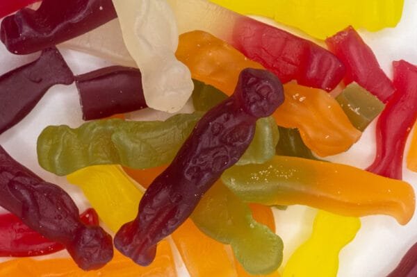 Vegan Meerkat Sweets